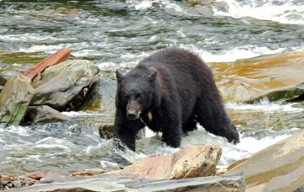 Alaska